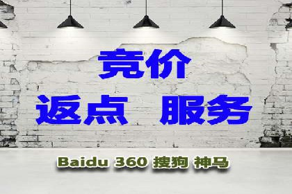 百度竞价广告投放策略：案例分析及效果评估